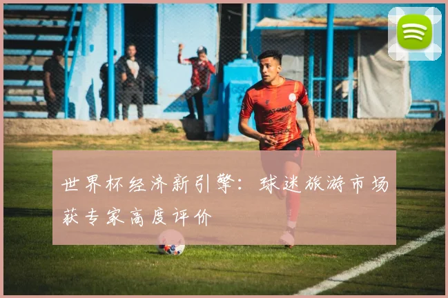 世界杯经济新引擎：球迷旅游市场获专家高度评价