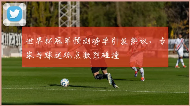 世界杯冠军预测榜单引发热议，专家与球迷观点激烈碰撞