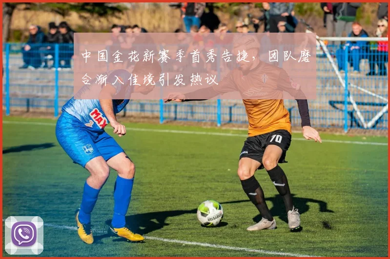 中国金花新赛季首秀告捷，团队磨合渐入佳境引发热议