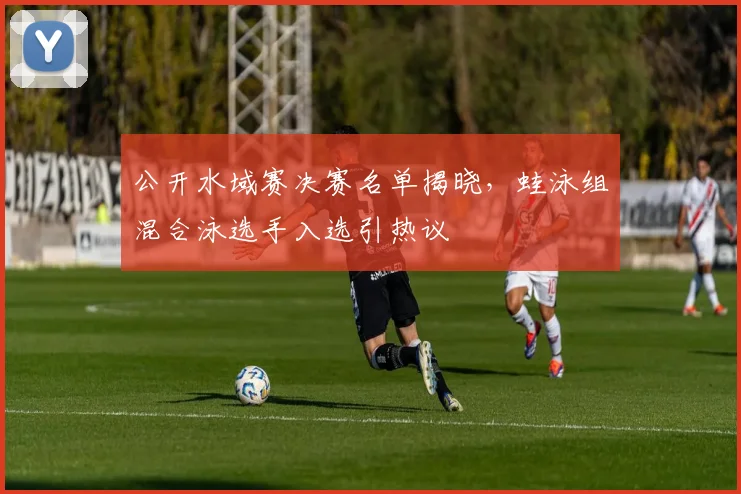公开水域赛决赛名单揭晓，蛙泳组混合泳选手入选引热议