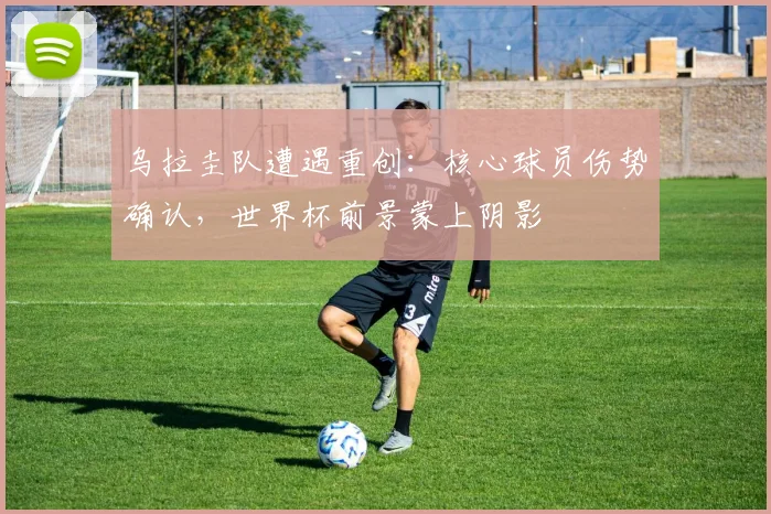 乌拉圭队遭遇重创：核心球员伤势确认，世界杯前景蒙上阴影