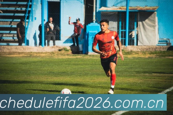 2026世界杯 品牌故事