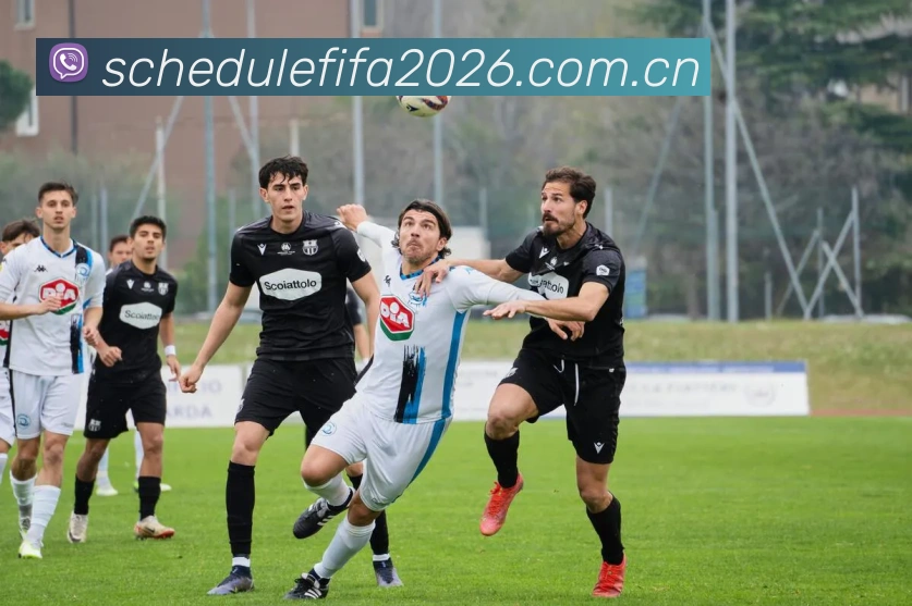 2026世界杯 多终端观赛